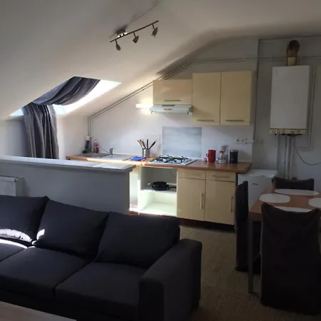 Appartement Le Victor Hugo Art Mechanical Et Sa Pizza Offerte Aurillac